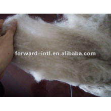 cachemire lanas fibra